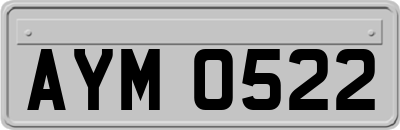 AYM0522