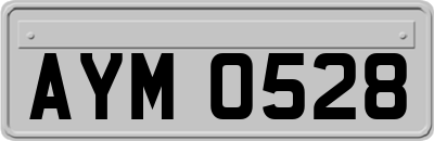 AYM0528