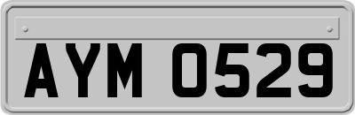 AYM0529
