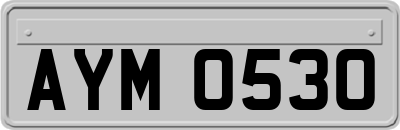 AYM0530