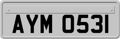 AYM0531