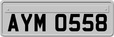 AYM0558