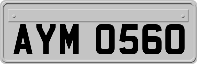 AYM0560