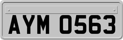 AYM0563