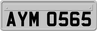 AYM0565