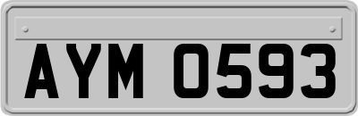 AYM0593