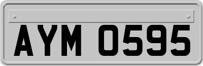 AYM0595