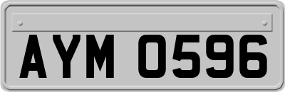 AYM0596