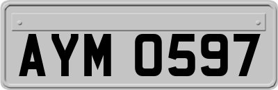 AYM0597