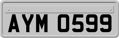 AYM0599