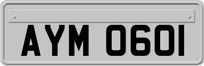 AYM0601