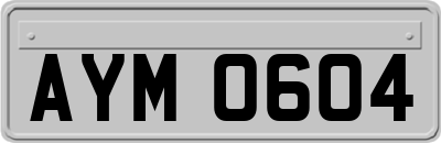 AYM0604