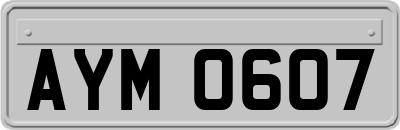 AYM0607