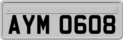 AYM0608