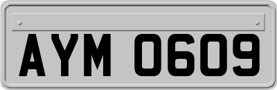 AYM0609