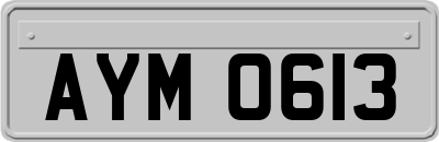 AYM0613