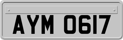 AYM0617