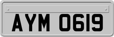 AYM0619