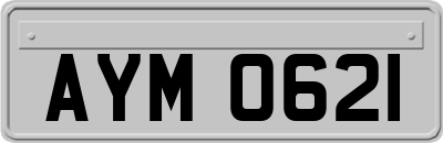 AYM0621