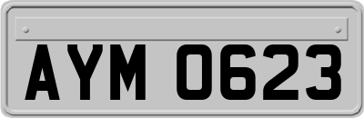 AYM0623