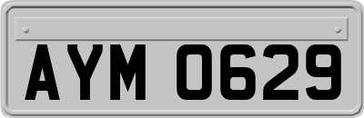 AYM0629