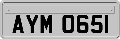 AYM0651
