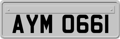 AYM0661