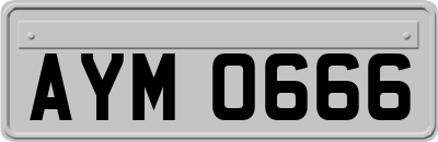AYM0666