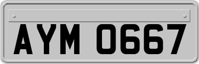 AYM0667