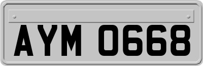 AYM0668