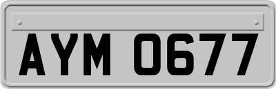 AYM0677