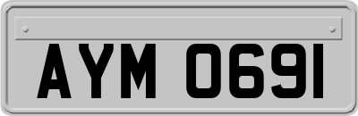 AYM0691
