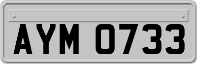 AYM0733
