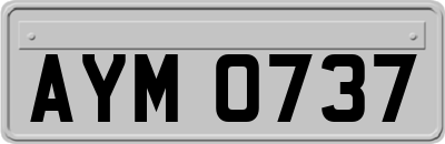 AYM0737