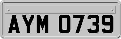 AYM0739