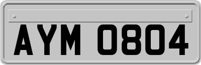 AYM0804