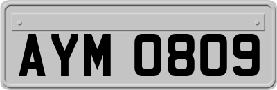 AYM0809