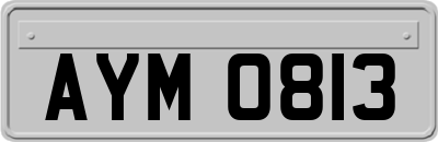 AYM0813