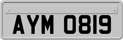 AYM0819