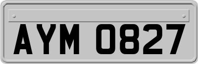 AYM0827