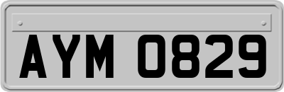 AYM0829