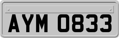 AYM0833