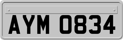 AYM0834