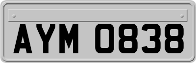 AYM0838