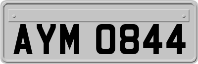 AYM0844