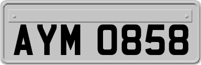 AYM0858