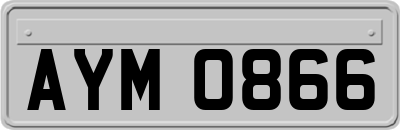 AYM0866