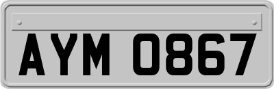 AYM0867