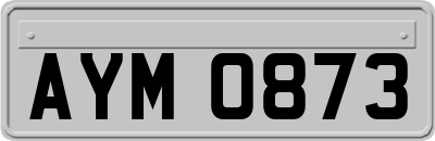 AYM0873