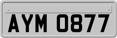 AYM0877